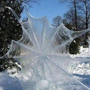 Meet your Posher, Jody